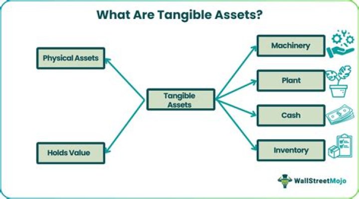 Are property plant and equipment intangible assets?