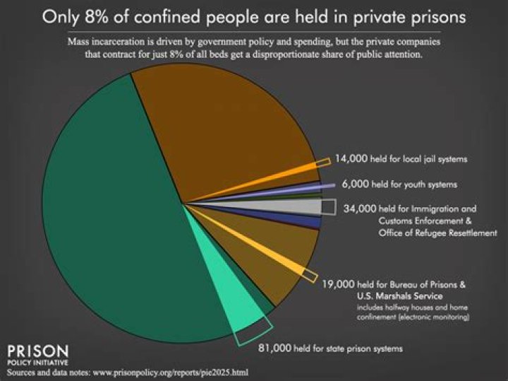 Are there government owned prisons?