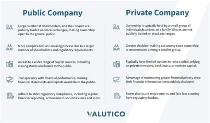 Are there publicly traded accounting firms?