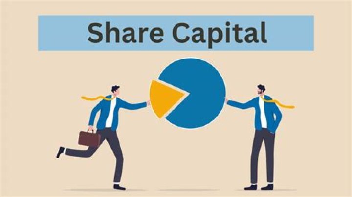 Are treasury shares part of share capital?