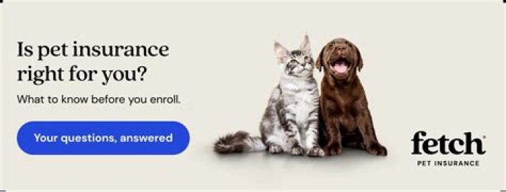 At what age can you get pet insurance?