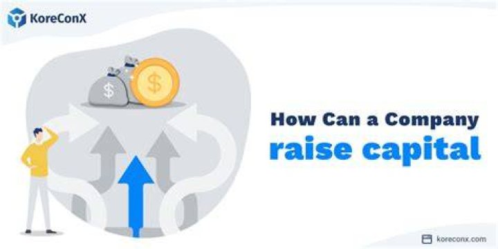 Can a holding company raise capital?