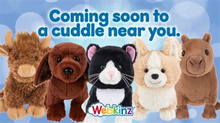 Can I call Webkinz?