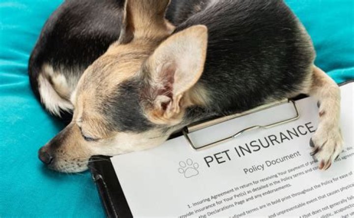 Can I cancel my Nationwide policy online?