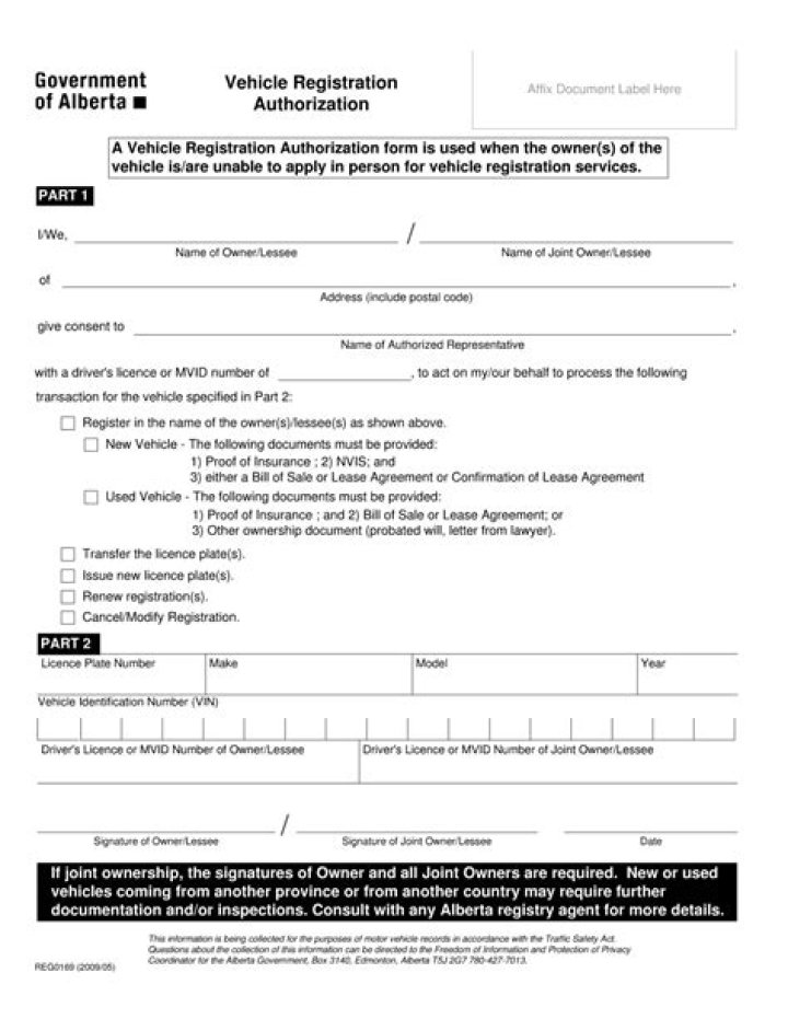 Can I renew my vehicle registration at HEB?