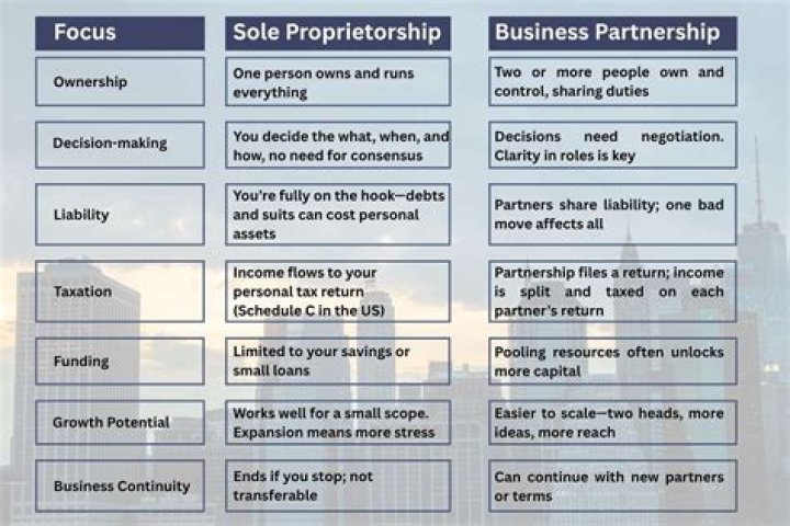 Can sole proprietors sell stock?