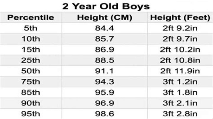 Can the average 2 year old count to 10?