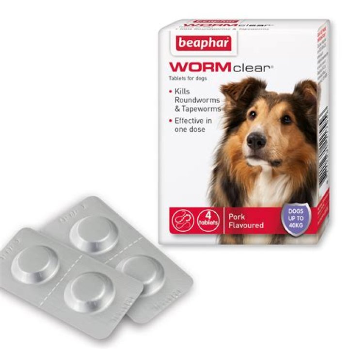 Can too much worm medicine kill a dog?