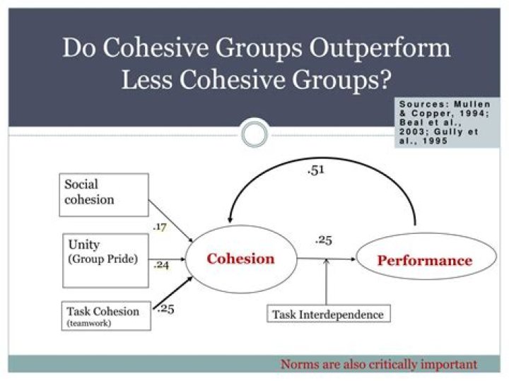 Do cohesive groups always outperform less cohesive groups explain?