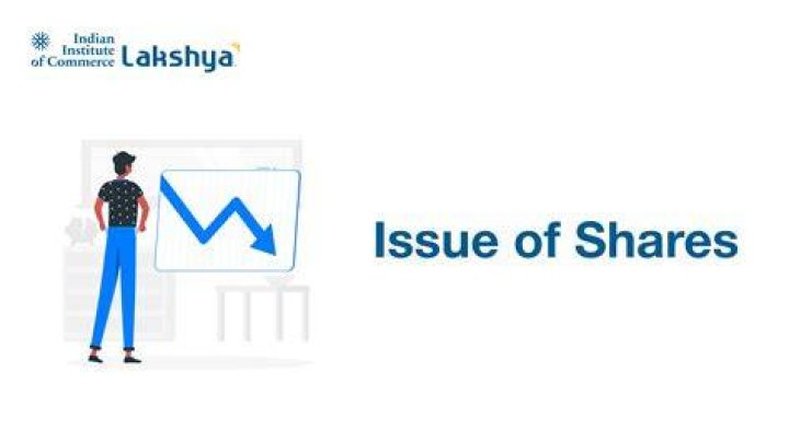 Do companies decide how many shares to issue?