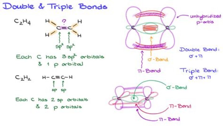 Do double bonds have higher bond order?