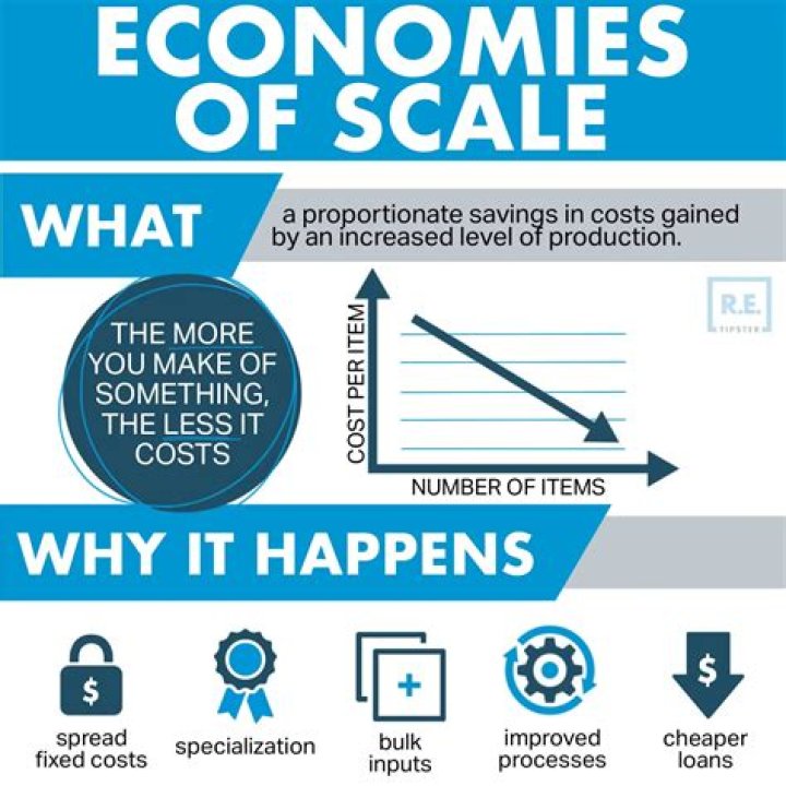 Do large firms have economies of scale?
