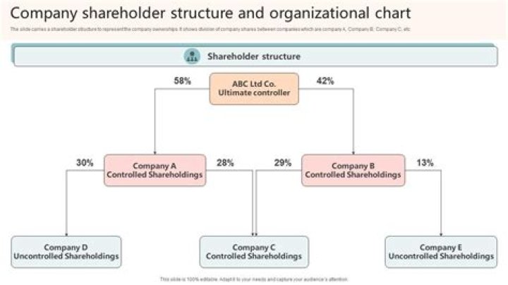 Do shareholders choose CEO?