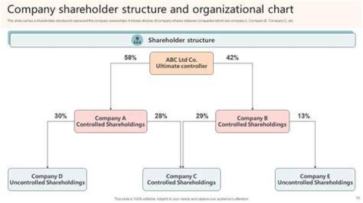 Do shareholders have control over a company?