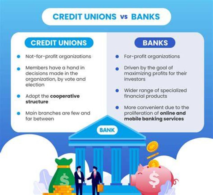 Does a credit union make a profit?