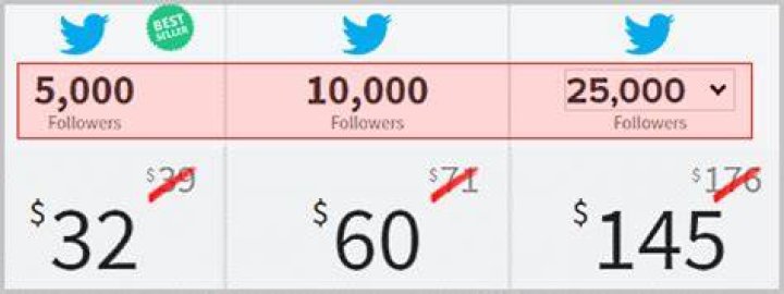 Does buying Twitter followers work?