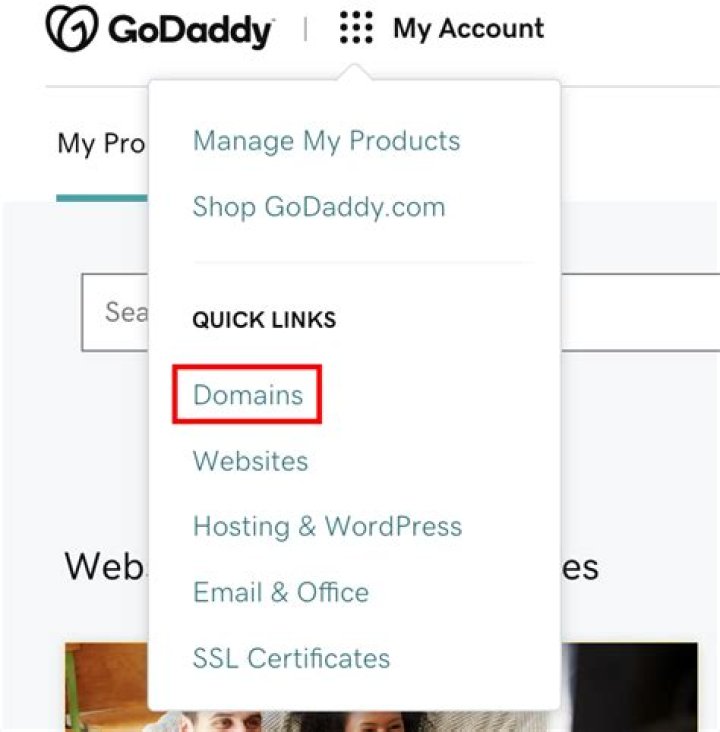 Does GoDaddy own my domain name?