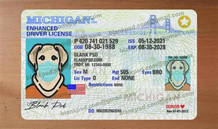 Does Michigan require a business license?