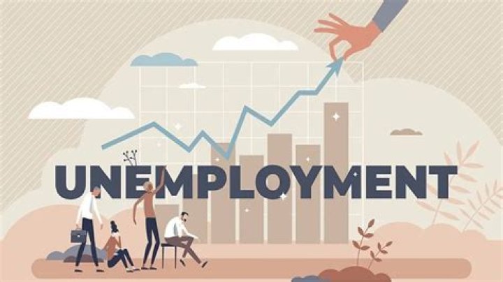 Does microeconomics deal with unemployment?