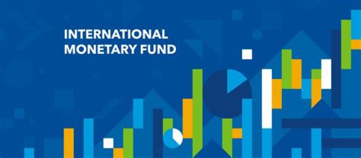 Does the International Monetary Fund give grants?