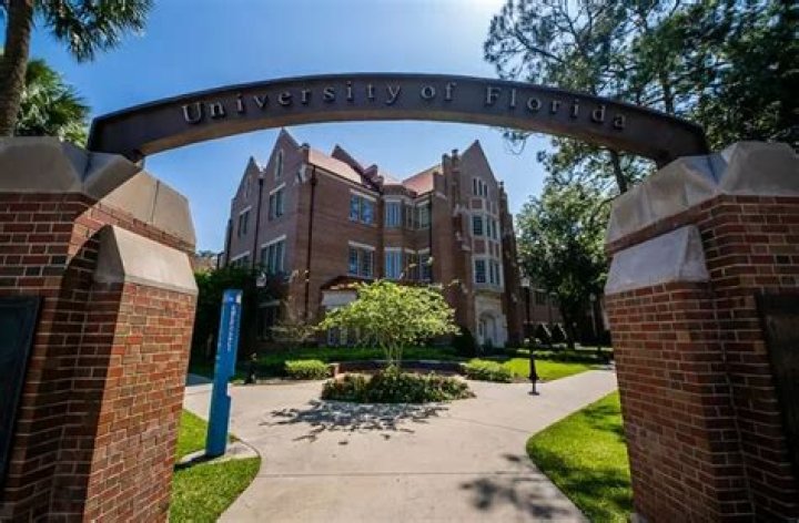 Does University of Florida have entrepreneurship?