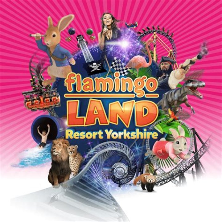 Has Flamingo Land got a swimming pool?