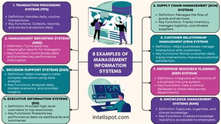 How are information systems used in business?