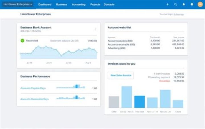 How can a large company benefit from an accounting software?