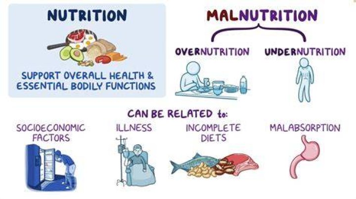 How can we solve the problem of malnutrition?