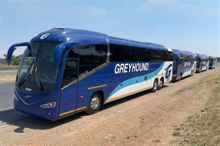 How did Greyhound bus get its name?
