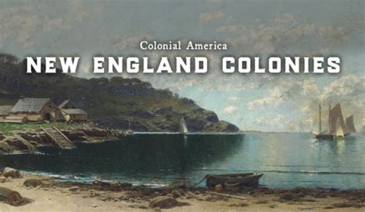 How did the NE colonies make their living?