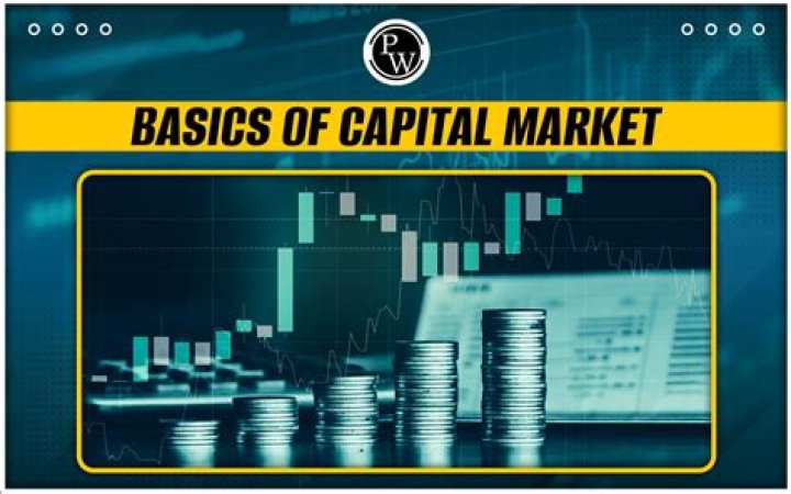 How do capital markets raise money?