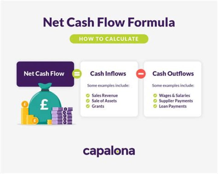 How do I calculate the net cash flow?