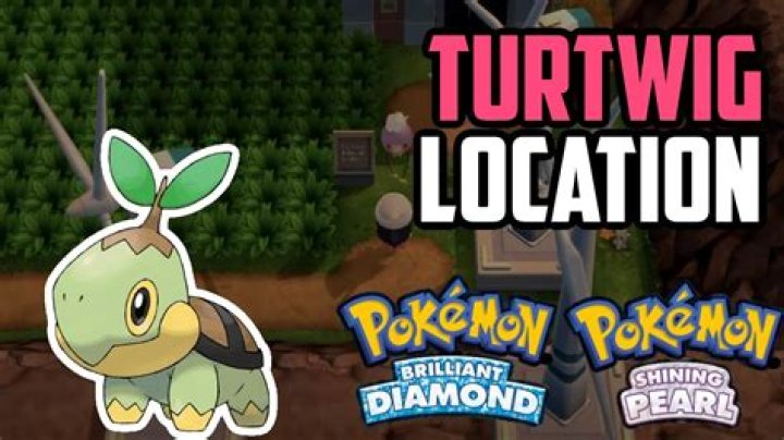 How do I catch a Turtwig?