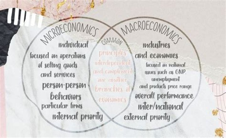 How do I get better at microeconomics?