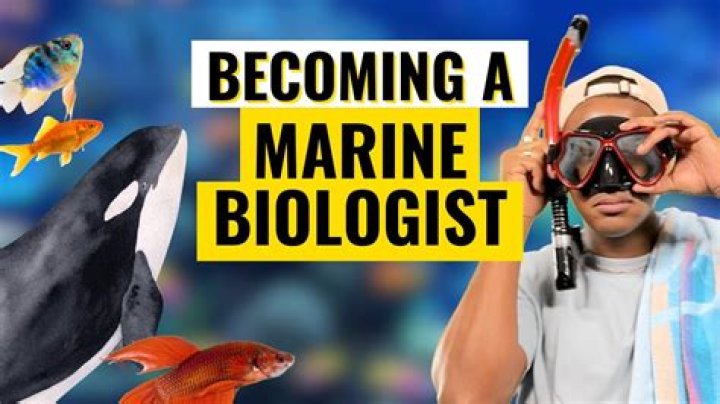 How do I get into marine biology?