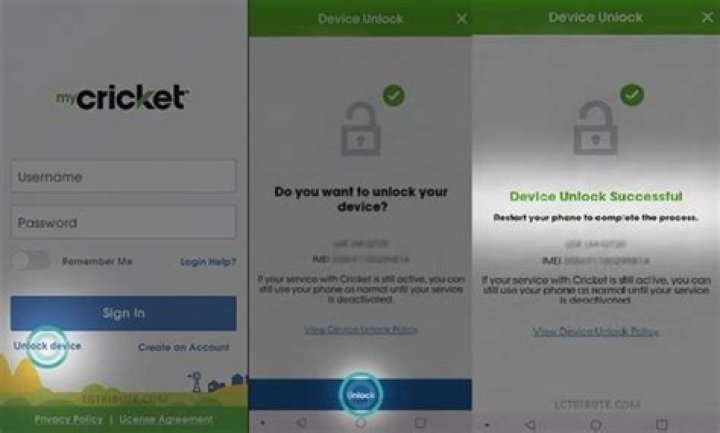 How do I unlock my service account?