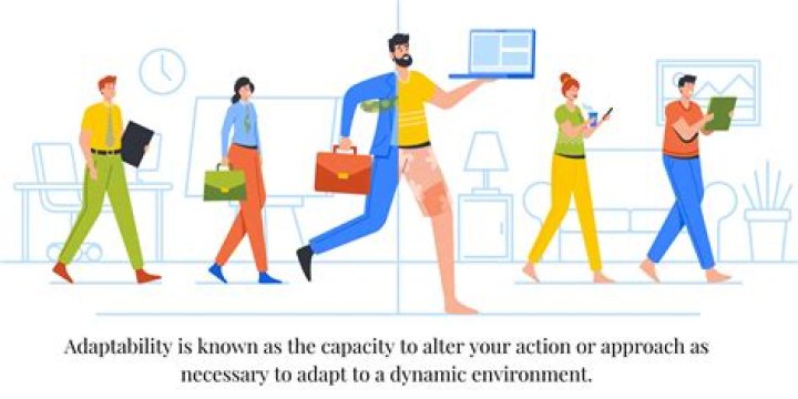 How do you adapt a product?