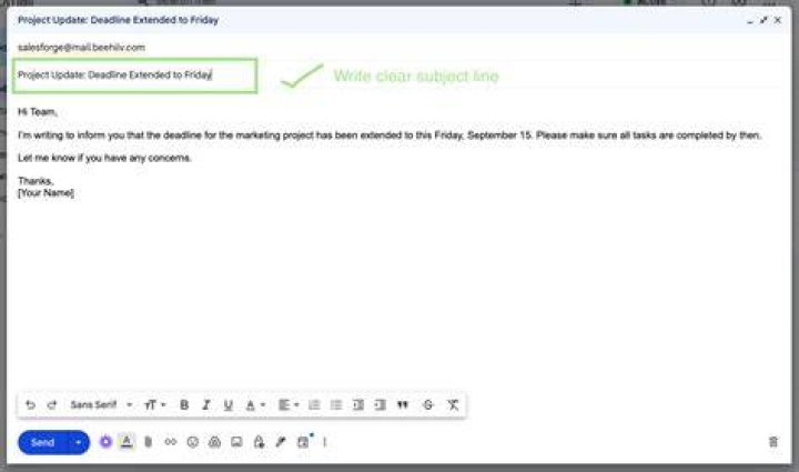 How do you address a former ambassador in an email?