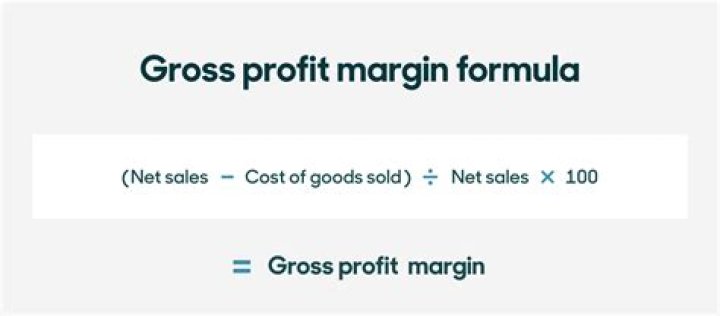 How do you calculate gross profit margin when there is a loss?