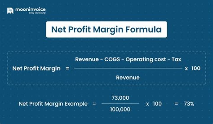 How do you calculate profit margin on net sales?