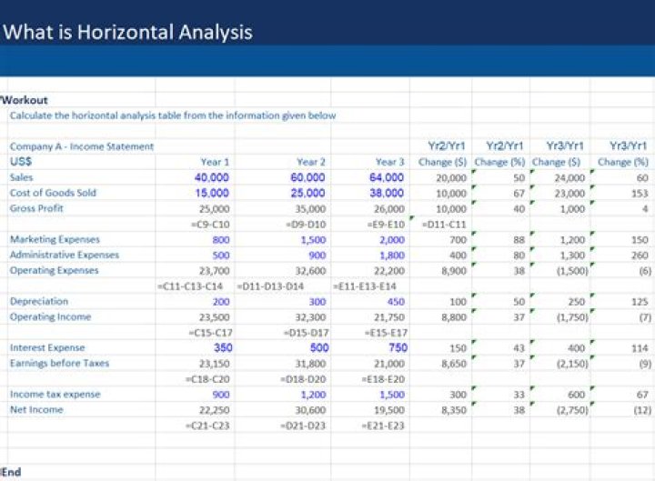 How do you do a horizontal analysis of a company?