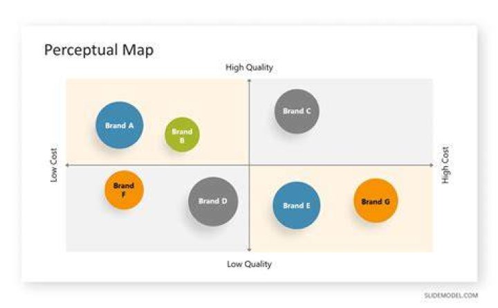 How do you explain a perceptual map?