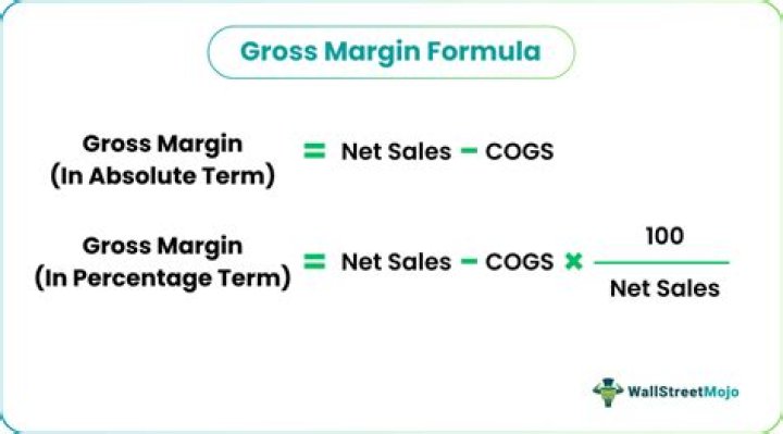 How do you interpret gross margin?