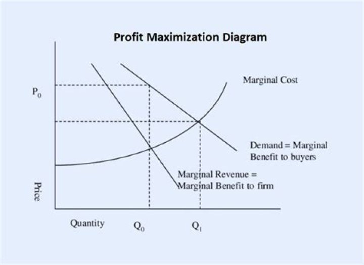 How do you maximize profit and minimize costs?