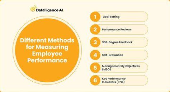How do you measure the performance of a COO?