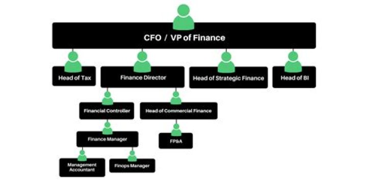 How do you structure a finance organization?