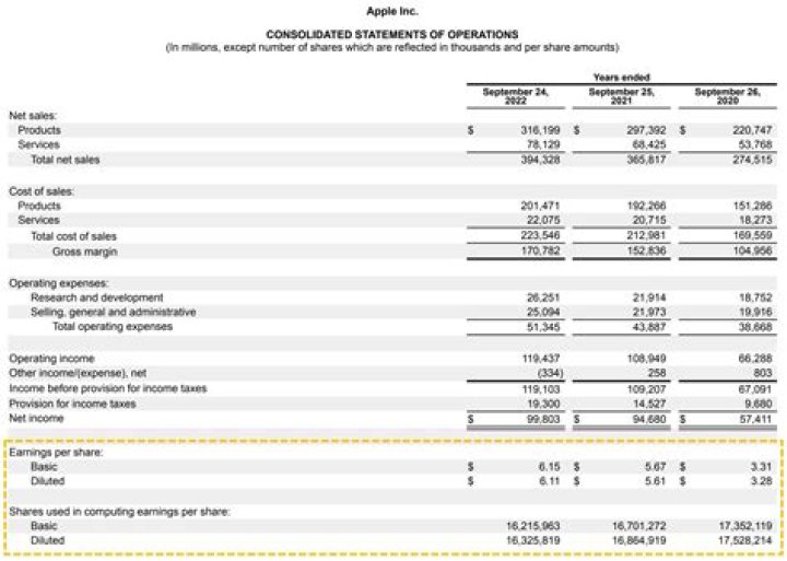 How do you tell if a company is doing well based on income statement?