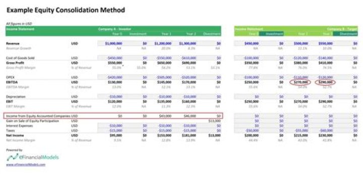How does consolidation affect financial statements?