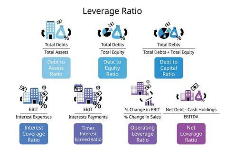 How does financial leverage magnify the return to shareholders?
